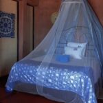 lit double residence eden ecolodge saint augustin tulear